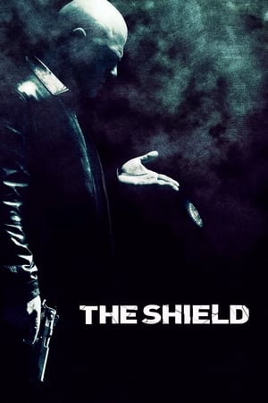Ver The Shield: Al margen de la ley