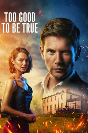 Ver Too Good to Be True