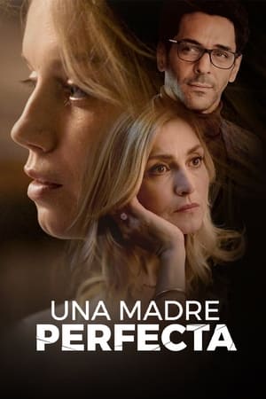 Ver Una madre perfecta