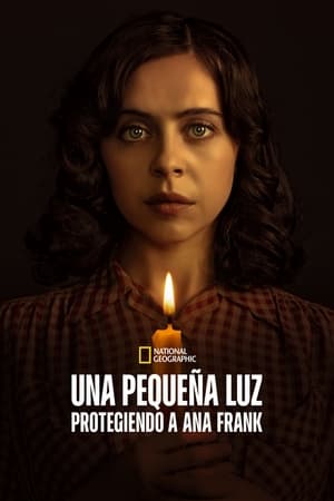 Ver Una pequeña luz: protegiendo a Ana Frank