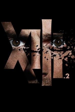 XIII La Serie
